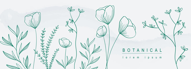 Poster - Botanical abstract background with floral line art design. Horizontal web banner in minimal style with blooming poppy flowers contour, different leaves and plant twigs border. Vector illustration.