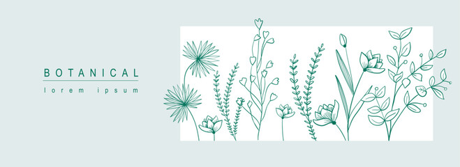 Poster - Botanical abstract background with floral line art design. Horizontal web banner in minimal style with blooming different flowers, wildflowers, herbs and leaves in frame template. Vector illustration.