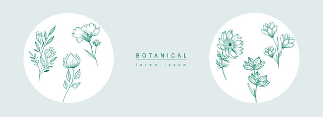 Poster - Botanical abstract background with floral line art design. Horizontal web banner with composition of magnolia, lotus and other flowers and wildflowers blossoms in circle places. Vector illustration.