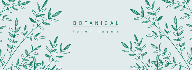 Poster - Botanical abstract background with floral line art design. Horizontal web banner composition frame with green contours leaves, elegant herbs, twigs and spring foliage plants. Vector illustration.
