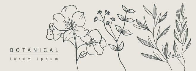 Poster - Botanical abstract background with floral line art design. Horizontal web banner with minimal composition of flower blossoms on twigs, herbs and leaves on branches collection. Vector illustration.