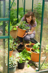 Checking plants for aphids and pests.