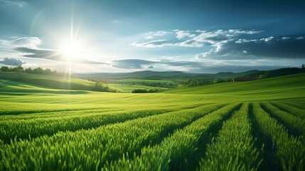 Green field and sky