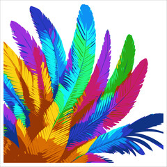  Vector illustration of colored feathers for carnival