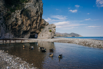 Wall Mural - Natural beach in Cirali, Turkey