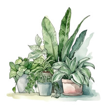 Cluster Of Houseplants As A Frame Border, Copyspace, Generative Ai