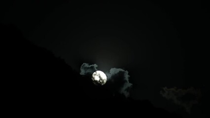 Wall Mural - Full moon rising from a mountain behind with the silhouette of trees. 