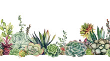 Variety Of Succulent Plants As A Frame Border, Copyspace, Generative Ai