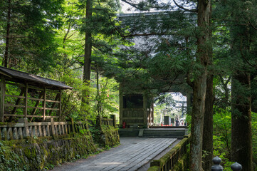 Wall Mural - 榛名神社の随神門