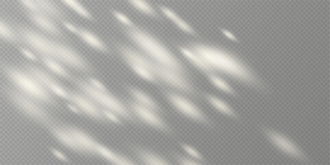 Sunlight on a wall overlay, sunbeams in a room light effect, sunny day effect for product presentation isolated on a gray background. Minimalist interior. Vector illustration.