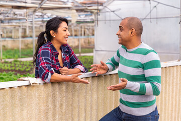 Wall Mural - Latin american woman and a man standing in the farmyard are actively discussing current topics during a working break...