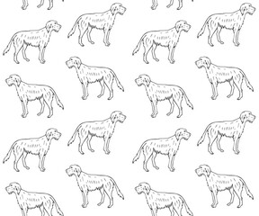 Wall Mural - Vector seamless pattern of hand drawn doodle sketch wolfhound dog isolated on white background