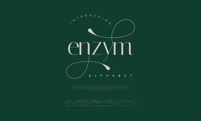 Enzym elegant alphabet letters font and number. Classic Lettering Minimal Fashion Designs. Typography modern serif fonts decorative vintage design concept. vector illustration