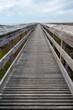 © renee - A wooden walkway leading out into a natural area in Florida