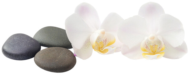 Canvas Print - Spa stone with orchid flower