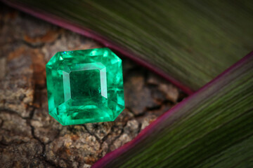 Poster - Emerald Gemstone Beauty Shot background