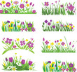 Wildflower and grass vector set