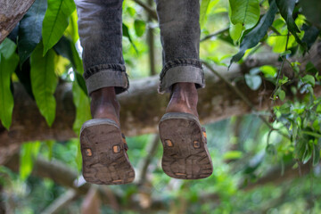 A black boy's two legs hanging from the tree