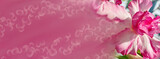 Fototapeta Storczyk - Beautiful pink floral background. Creative idea. Wide template with space for text. Adenium Desert Rose gentle flower. Backdrop with bokeh graphic effects. Open borders. Romantic layout. Valentine Day