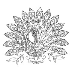 Cute peacock hand drawn for adult coloring book