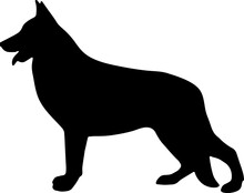 Black Dog Silhouette