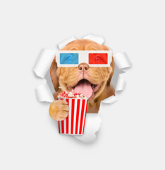Poster - Smiling puppy wearing 3d glasses looking through the hole in white paper and holds basket of popcorn
