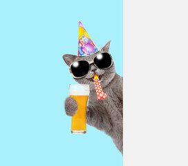 Wall Mural - Happy cat wearing party cap blows in party hornand looks from behind empty white banner and holds glass of beer. isolated on blue background