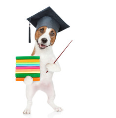 Poster - Graduated dog holding books and pointing away on empty space. isolated on white background