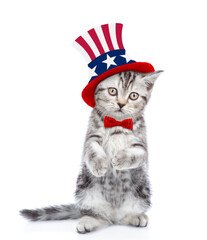 Poster - Cute kitten wearing like Uncle Sam looks at camera. isolated on white background