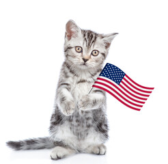 Poster - Cute kitten celebrating  independence day 4th of july with USA flag. isolated on white background