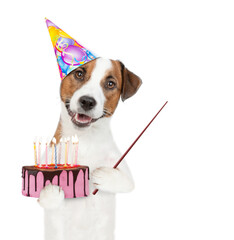 Poster - Jack russell terrier puppy  wearing a party cap holds birthday cake with birning candles and points away on empty space. Isolated on white background
