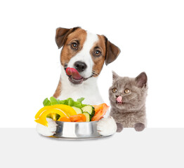 Wall Mural - Happy licking lips Jack russell terrier puppy holding bowl of vegetables above empty white banner near tiny kitten. isolated on white background