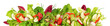 Mixed Salad with Vegetables and Avocado - Fresh Lettuce Panorama Transparent PNG Background