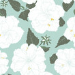 White hibiscus flowers on blue background. Spring flowers floral  seamless pattern.  Vector vintage illustration for wrapping, fabric, fashion, paper, textile.