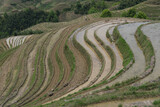 Fototapeta Do pokoju - Guilin, Guangxi province, Rice terraces. 