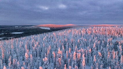 Sticker - snowy trees and tunturi mountains in Syote, Finland 01