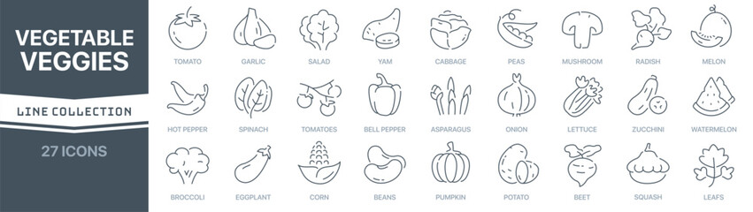 Poster - Vegetable and veggies linear signed icon collection. Signed thin line icons collection. Set of vegetable and veggies simple outline icons