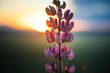 Majestic Twilight Blooms: Lupinus Flower Illuminating the Meadow in Northern Europe