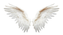 Angel Wings: White Feathered Symbol Of Purity On A Transparent Background PNG