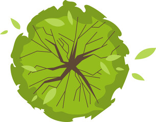 Wall Mural - tree or plant top view for landscape design. icon colored tree for architectural map, plan. green sp