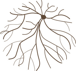 Wall Mural - tree or plant top view for landscape design. icon colored tree for architectural map, plan. green sp