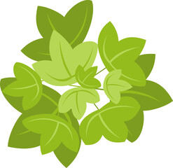 Wall Mural - tree or plant top view for landscape design. icon colored tree for architectural map, plan. green sp