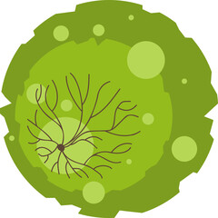 Wall Mural - tree or plant top view for landscape design. icon colored tree for architectural map, plan. green sp