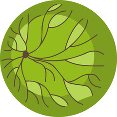 Wall Mural - tree or plant top view for landscape design. icon colored tree for architectural map, plan. green sp