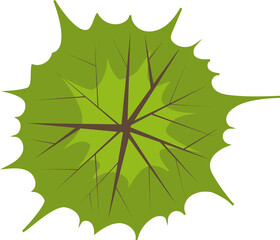 Wall Mural - tree or plant top view for landscape design. icon colored tree for architectural map, plan. green sp