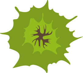 Wall Mural - tree or plant top view for landscape design. icon colored tree for architectural map, plan. green sp