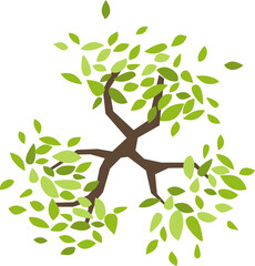 Wall Mural - tree or plant top view for landscape design. icon colored tree for architectural map, plan. green sp