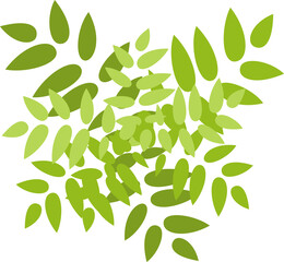 Wall Mural - tree or plant top view for landscape design. icon colored tree for architectural map, plan. green sp