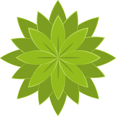 Wall Mural - tree or plant top view for landscape design. icon colored tree for architectural map, plan. green sp