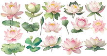 Set Of Watercolor Lotus Flowers Clip Art Vintage Style